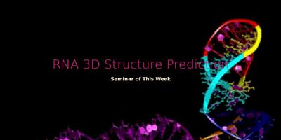 RNA 3D structure prediction