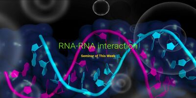 RNA-RNA Interaction