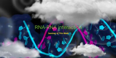 RNA-RNA Interaction