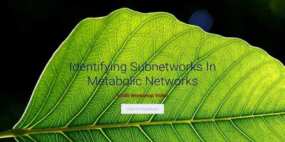 Identifying Subnetworks In Metabolic Networks