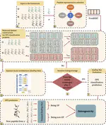 SimPep and OP-AND: A deep learning framework and curated database for predicting
osteogenic peptides