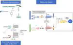 BioAct-Het: A heterogeneous siamese neural network for bioactivity prediction
using novel bioactivity representation